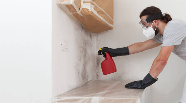 Professional Commercial Mold Remediation technician working in Freeland, WA