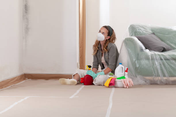 Reliable Commercial Mold Remediation contractor in Freeland, WA by WQB Mold Removal